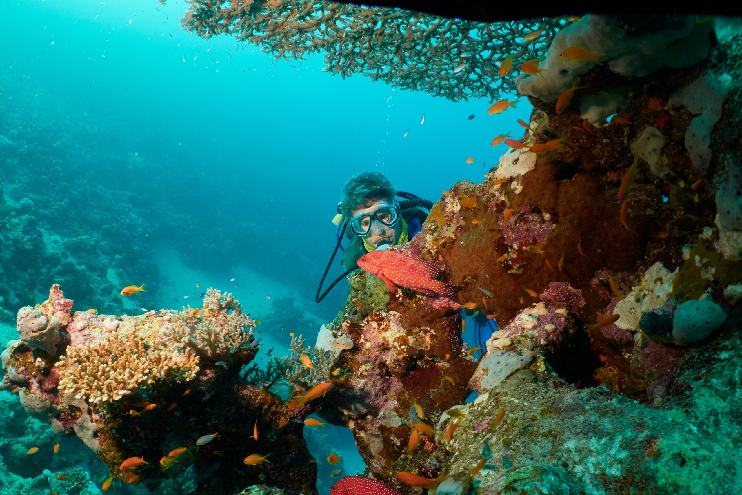 Diving: Exploring the Beauty Beneath the Waves